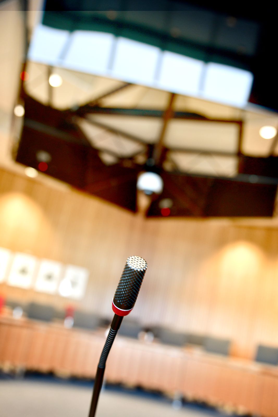 Andrea Reh bei einer Rede